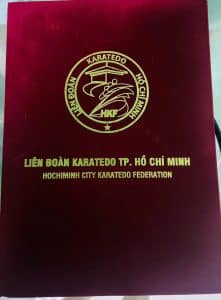 vo duong karatedo hiep toan